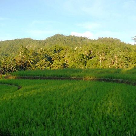 Bohol Paradise Hills Resort And Hotel Garcia Hernandez Экстерьер фото