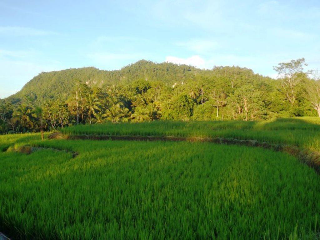 Bohol Paradise Hills Resort And Hotel Garcia Hernandez Экстерьер фото